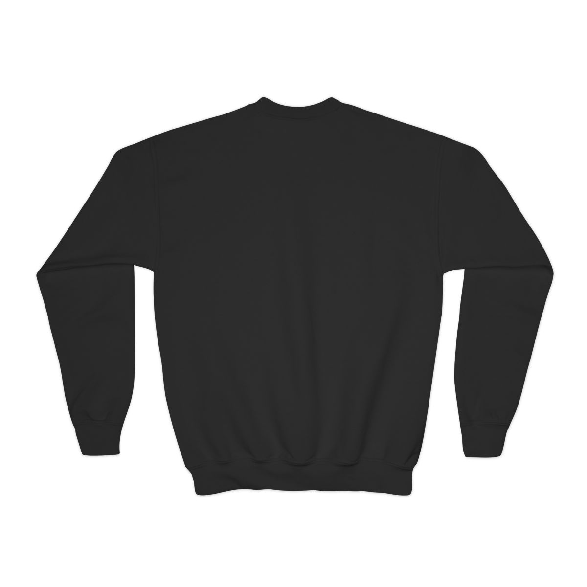 Fallout "Bottle Caps Accepted Here" Kids Crewneck - alternate angle 1, merchandise
